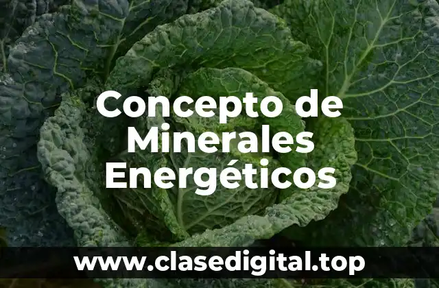 Concepto de Minerales Energéticos