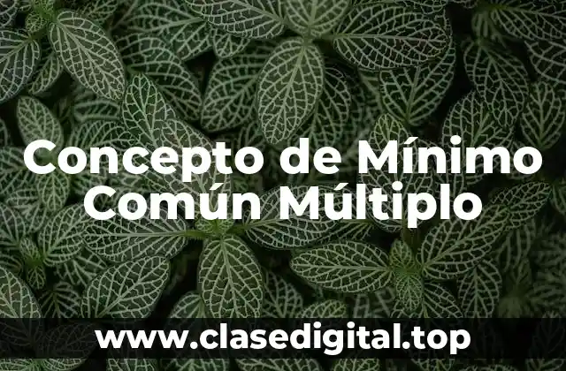Concepto de Mínimo Común Múltiplo