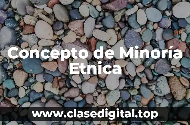 Concepto de Minoría Etnica