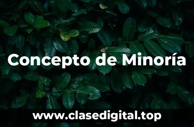 ⚡ Concepto de Minoría