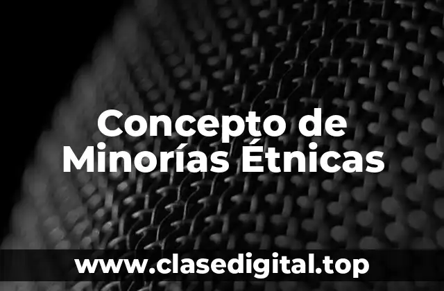 Concepto de Minorías Étnicas