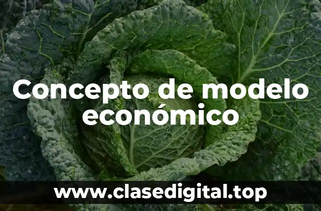 Concepto de modelo económico