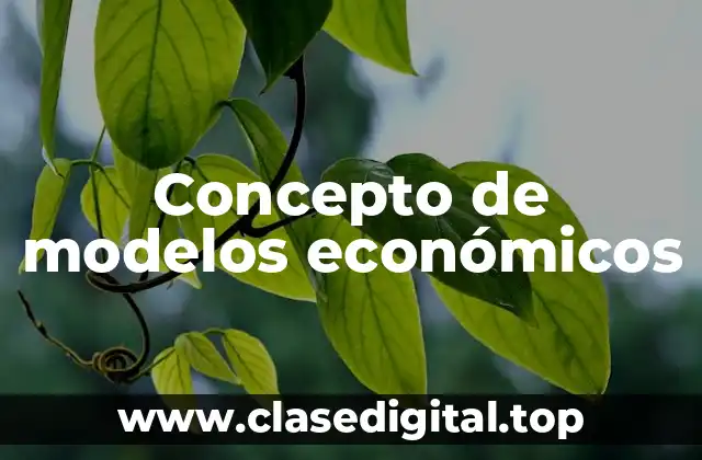 Concepto de modelos económicos
