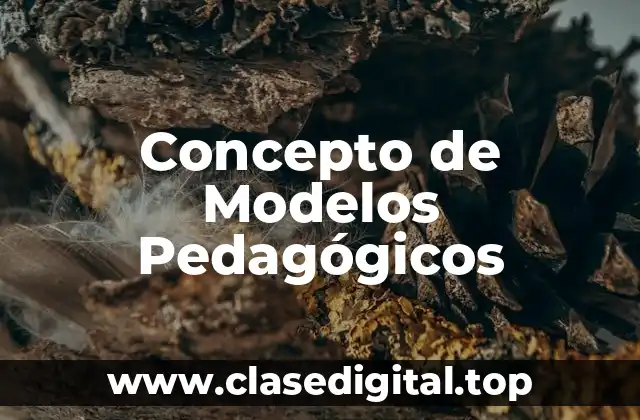Concepto de Modelos Pedagógicos