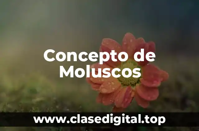 Concepto de Moluscos