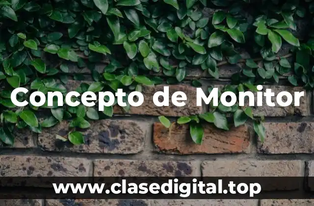 Concepto de Monitor