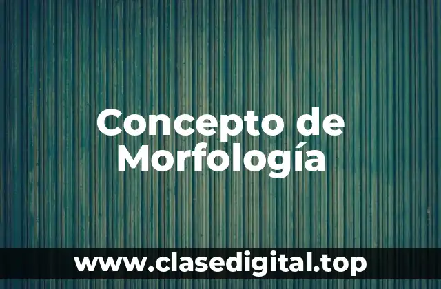 Concepto de Morfología
