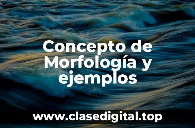 Concepto de Morfología y ejemplos