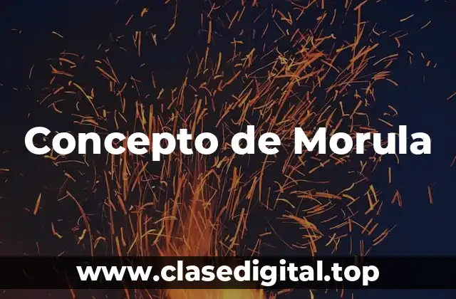 ❄️ Concepto de Morula