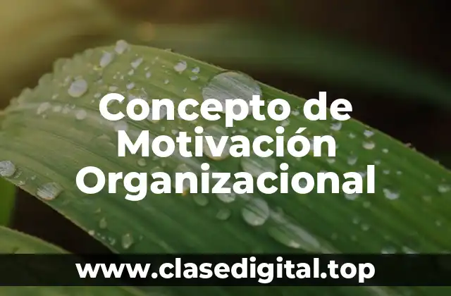 Concepto de Motivación Organizacional