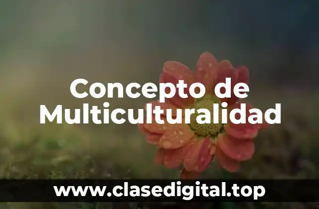 Concepto de Multiculturalidad