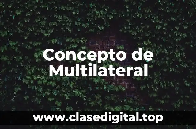 Concepto de Multilateral