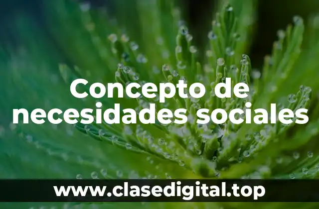 Concepto de necesidades sociales