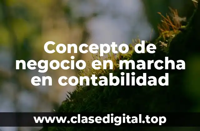 Concepto de negocio en marcha en contabilidad