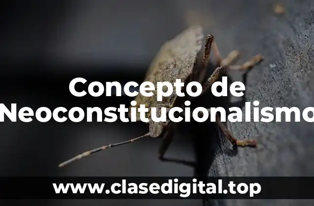 Concepto de Neoconstitucionalismo