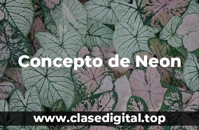 📗 Concepto de Neon