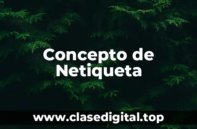✴️ Concepto de netiqueta