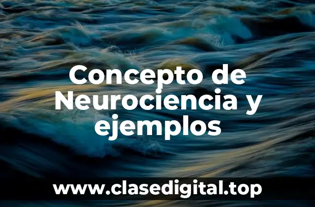 Concepto de Neurociencia y ejemplos
