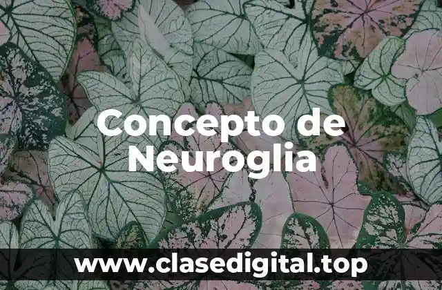Concepto de Neuroglia