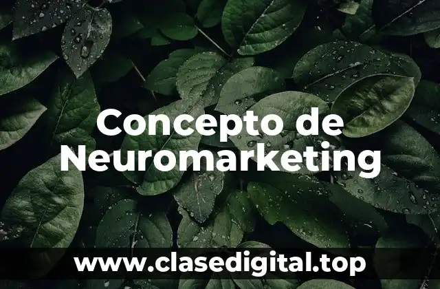 Concepto de Neuromarketing