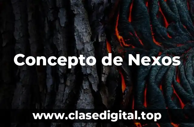 Concepto de Nexos