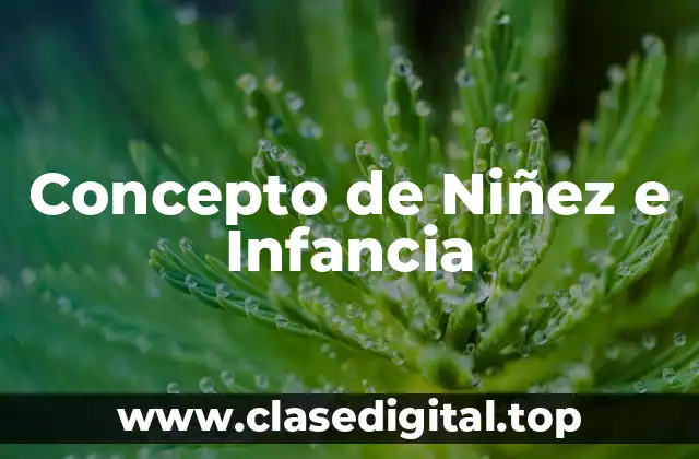 Concepto de Niñez e Infancia
