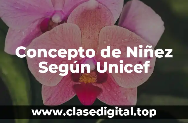 Concepto de Niñez Según Unicef
