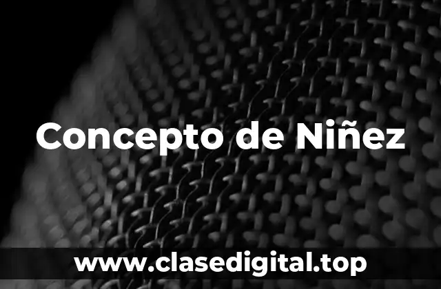 Concepto de Niñez