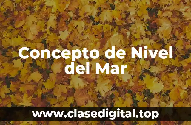 ✅ Concepto de Nivel del Mar