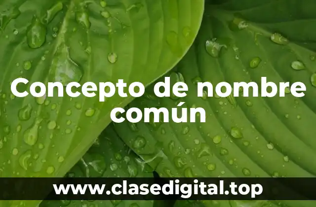 Concepto de nombre común