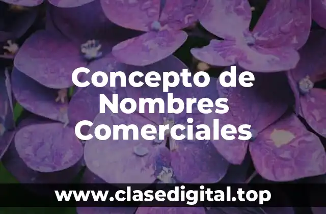 Concepto de Nombres Comerciales