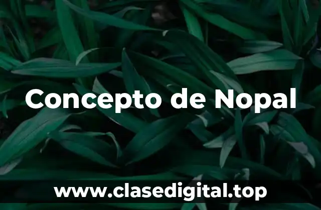 Concepto de Nopal