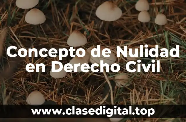 Concepto de Nulidad en Derecho Civil