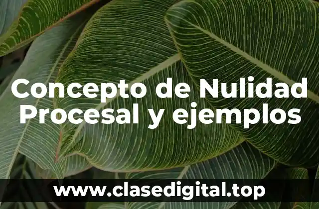 Concepto de Nulidad Procesal y ejemplos