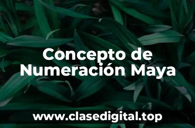 ☄️ Concepto de Numeración Maya