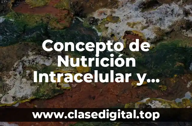 Concepto de Nutrición Intracelular y ejemplos