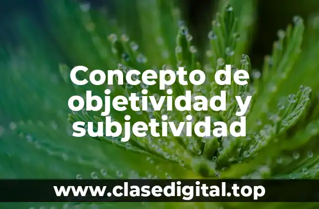 Concepto de objetividad y subjetividad