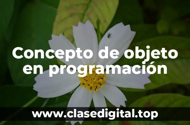 ⚡ Concepto de objeto en programación