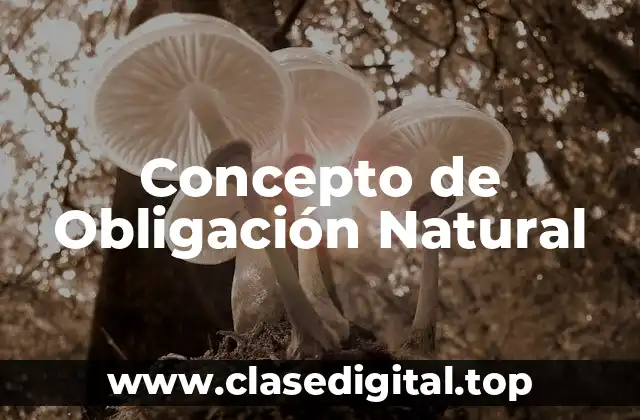 Concepto de Obligación Natural