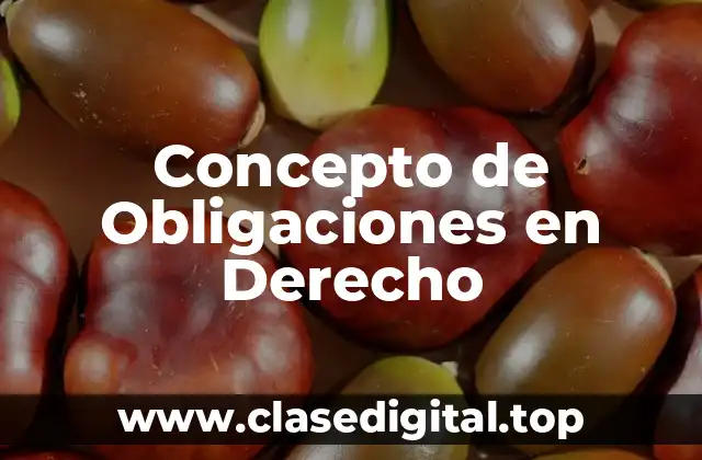 Concepto de Obligaciones en Derecho