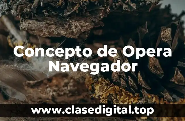 Concepto de Opera Navegador