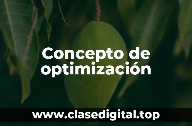 Concepto de optimización