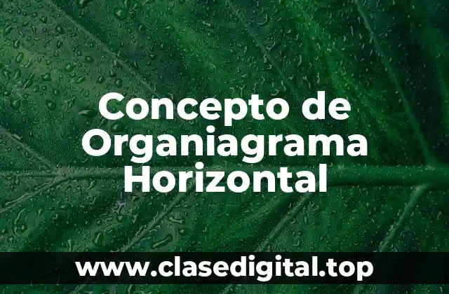 Concepto de Organiagrama Horizontal