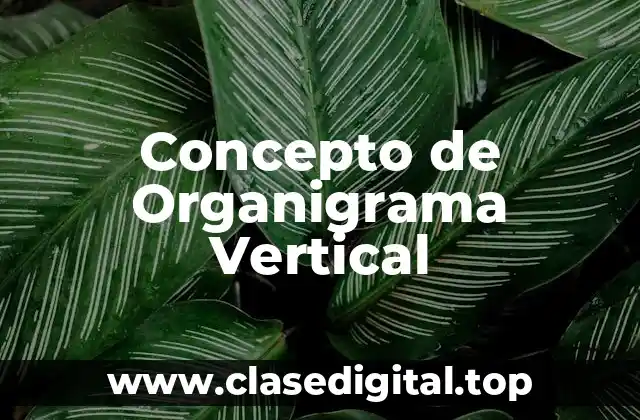 Concepto de Organigrama Vertical
