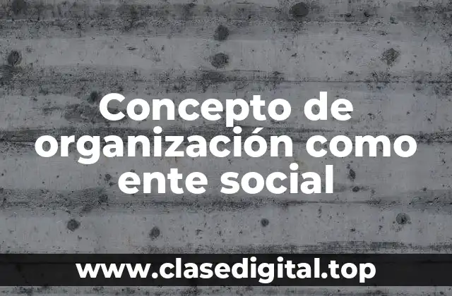 Concepto de organización como ente social