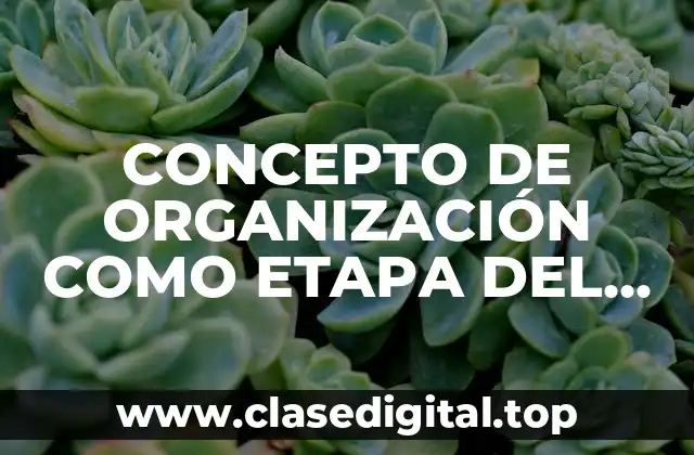 CONCEPTO DE ORGANIZACIÓN COMO ETAPA DEL PROCESO ADMINISTRATIVO