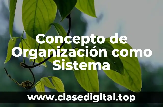 Concepto de Organización como Sistema