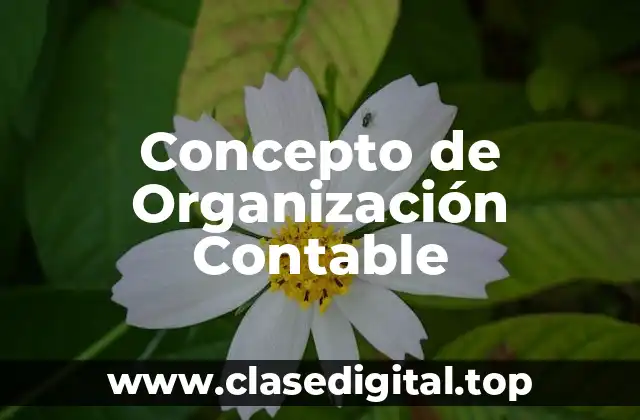 Concepto de Organización Contable