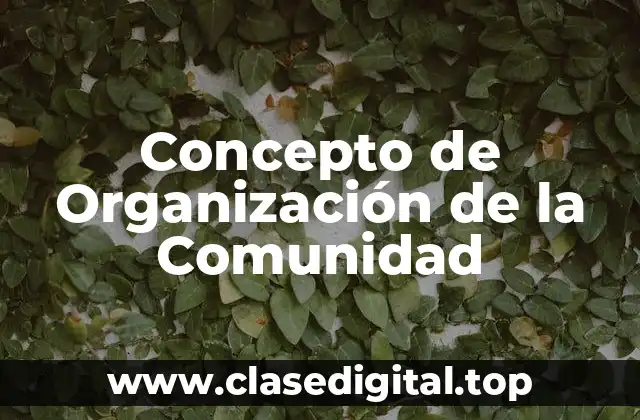 Concepto de Organización de la Comunidad