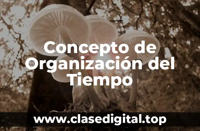 Concepto de Organización del Tiempo
